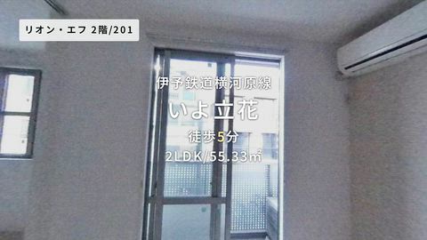 動画