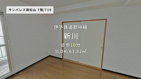 動画