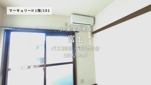 動画