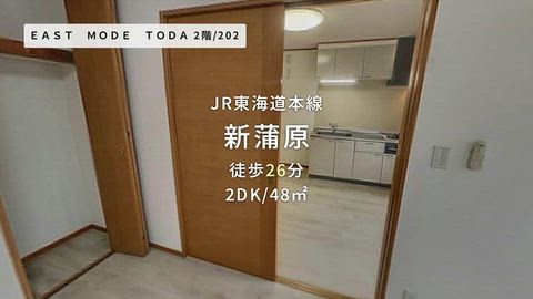 動画