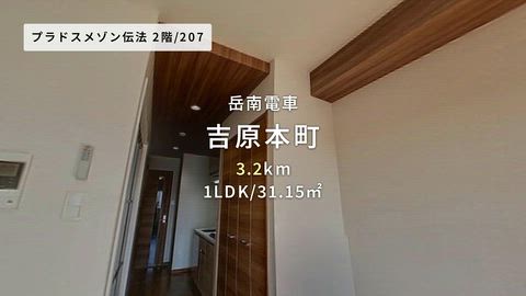 動画
