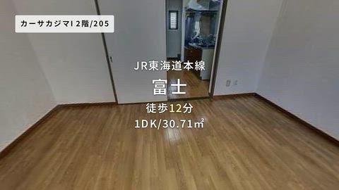 動画