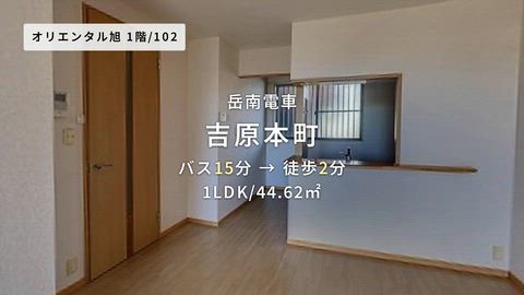 動画