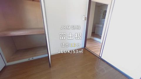 動画