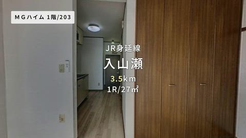 動画