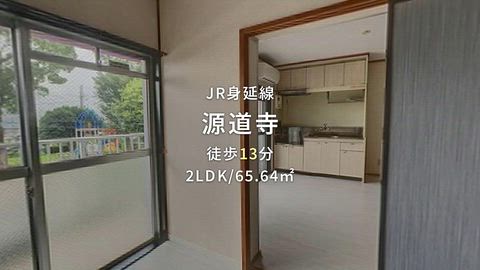 動画