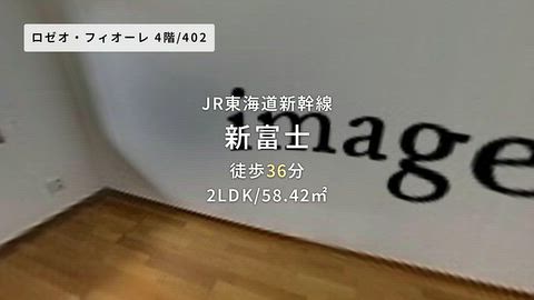 動画