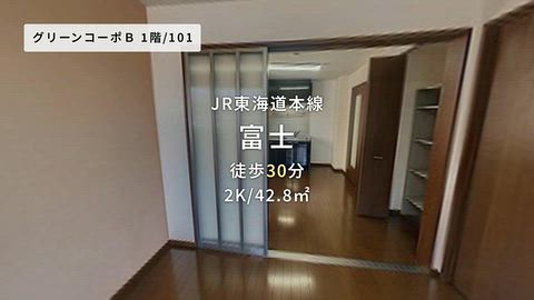 動画