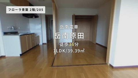 動画