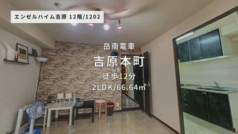動画