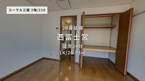 動画