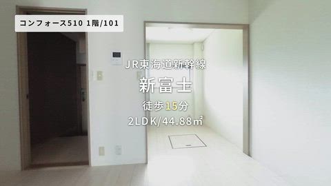動画