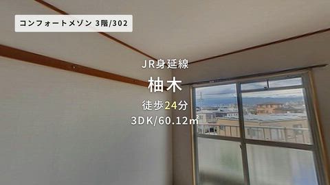 動画