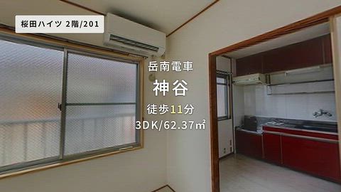 動画