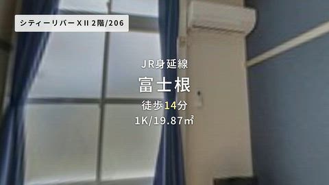 動画