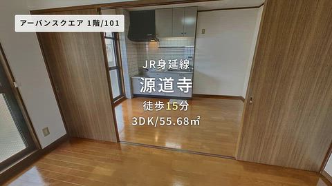 動画
