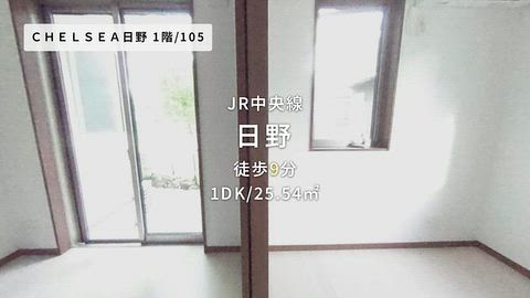 動画