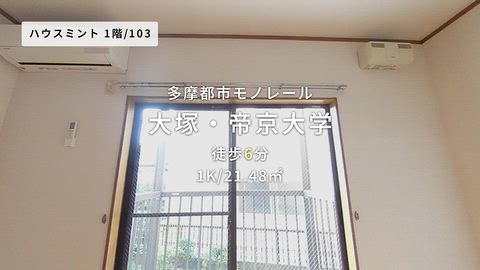 動画