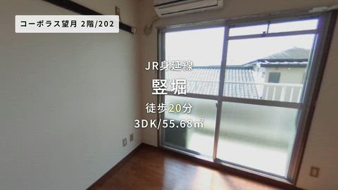 動画