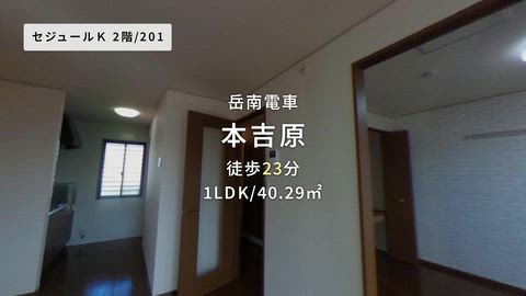 動画