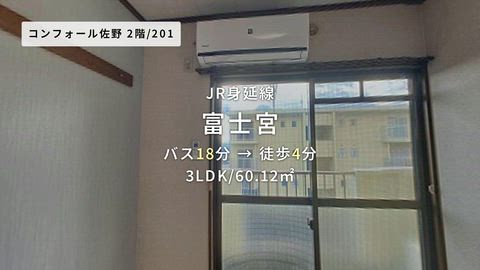 動画