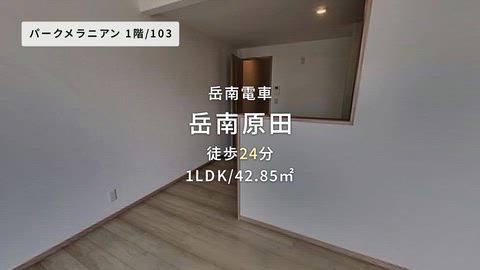 動画