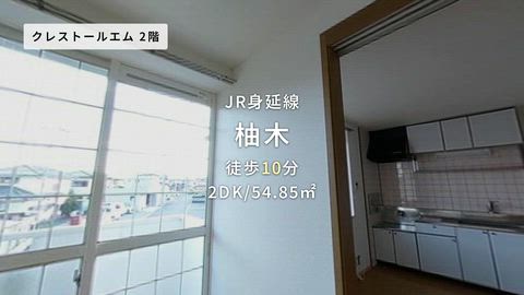 動画