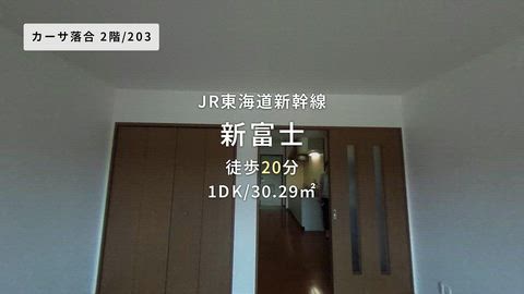 動画