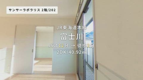 動画