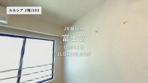 動画