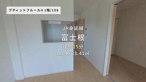 動画