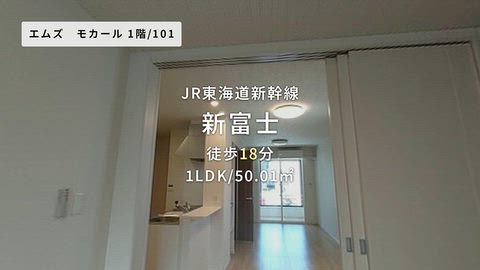 動画