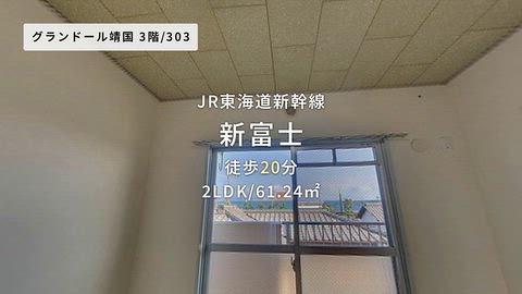 動画