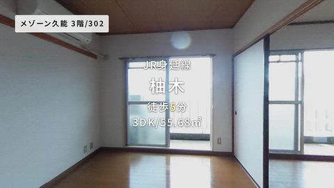 動画