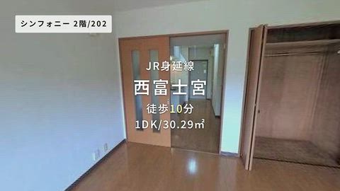 動画