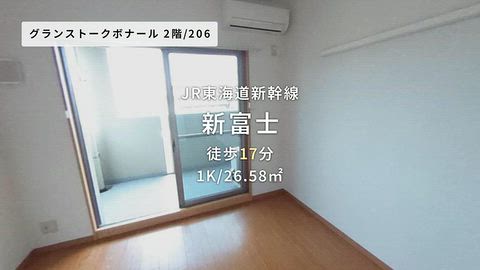 動画