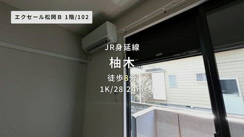 動画