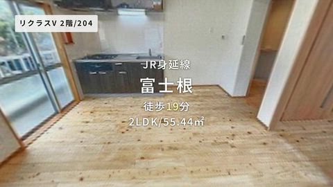 動画