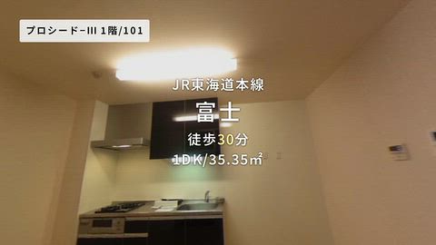 動画