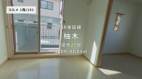 動画