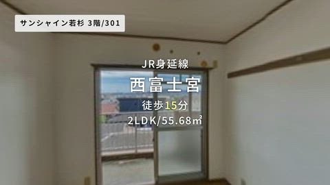 動画