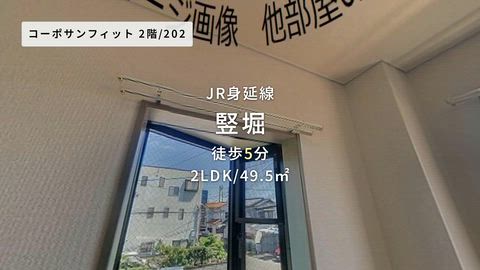 動画