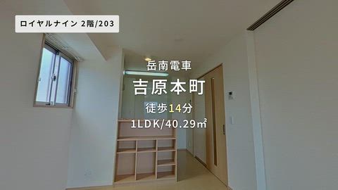 動画