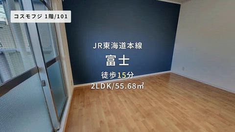 動画
