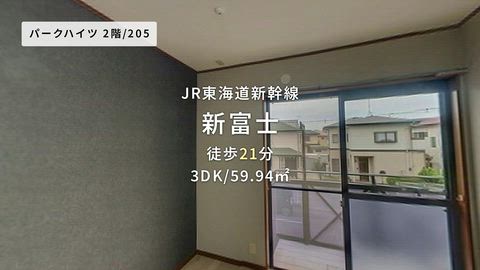 動画