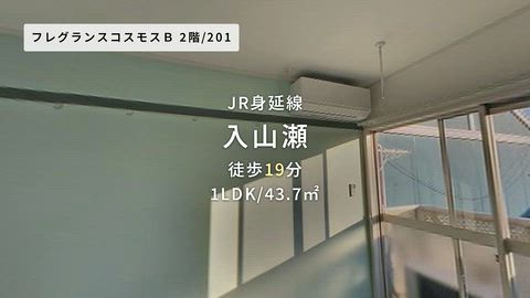 動画