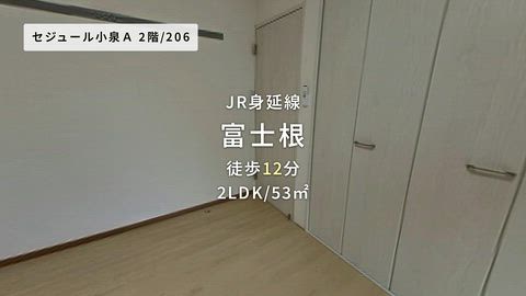 動画