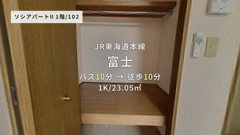 動画