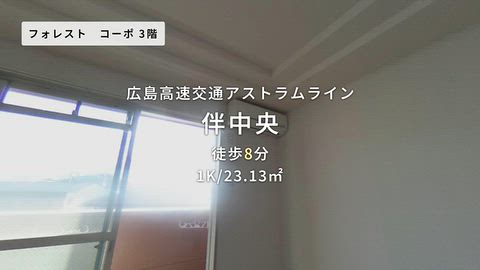 動画