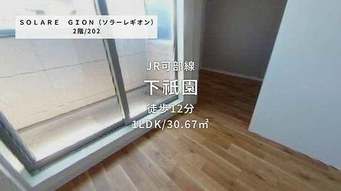 動画